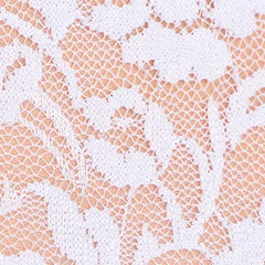 Dainty And Divine Sheer Lace Bodycon Ruffle Mini Dress