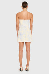 Fae Pink Mini Dress in Somerset