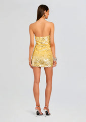 Nolia Sequin Embellished Dress