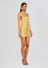 Nolia Sequin Embellished Dress